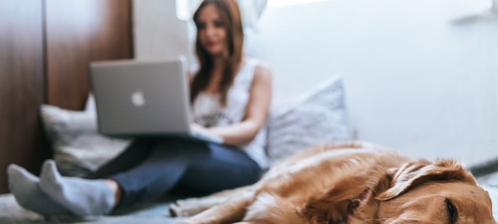 Reasons To Have a Home Security System